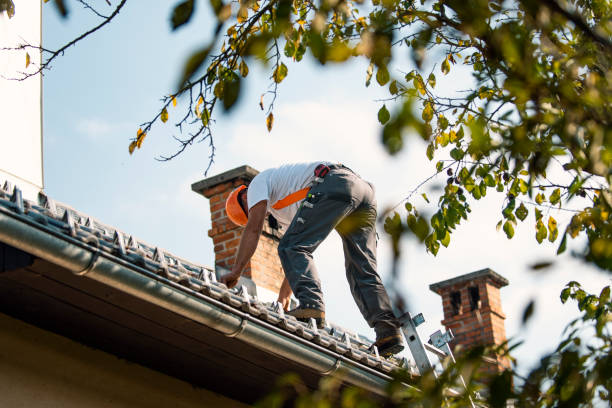 Best Roof Gutter Cleaning  in East Peoria, IL